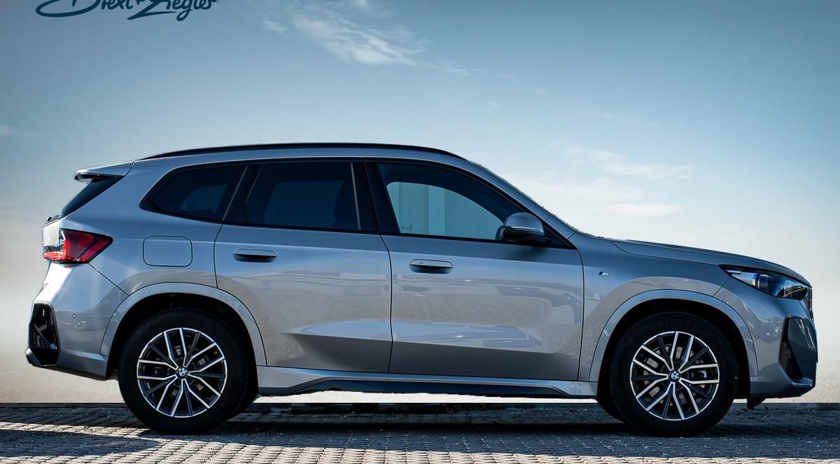 BMW X1 sDrive20i M-Sport AHK PANO KoZg AdLED RFK foto 2
