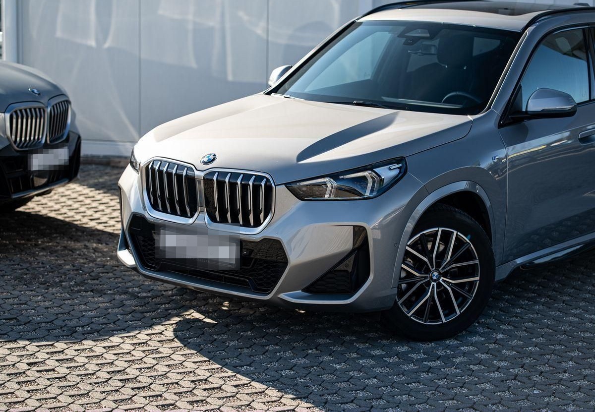 BMW X1 sDrive20i M-Sport AHK PANO KoZg AdLED RFK foto 4