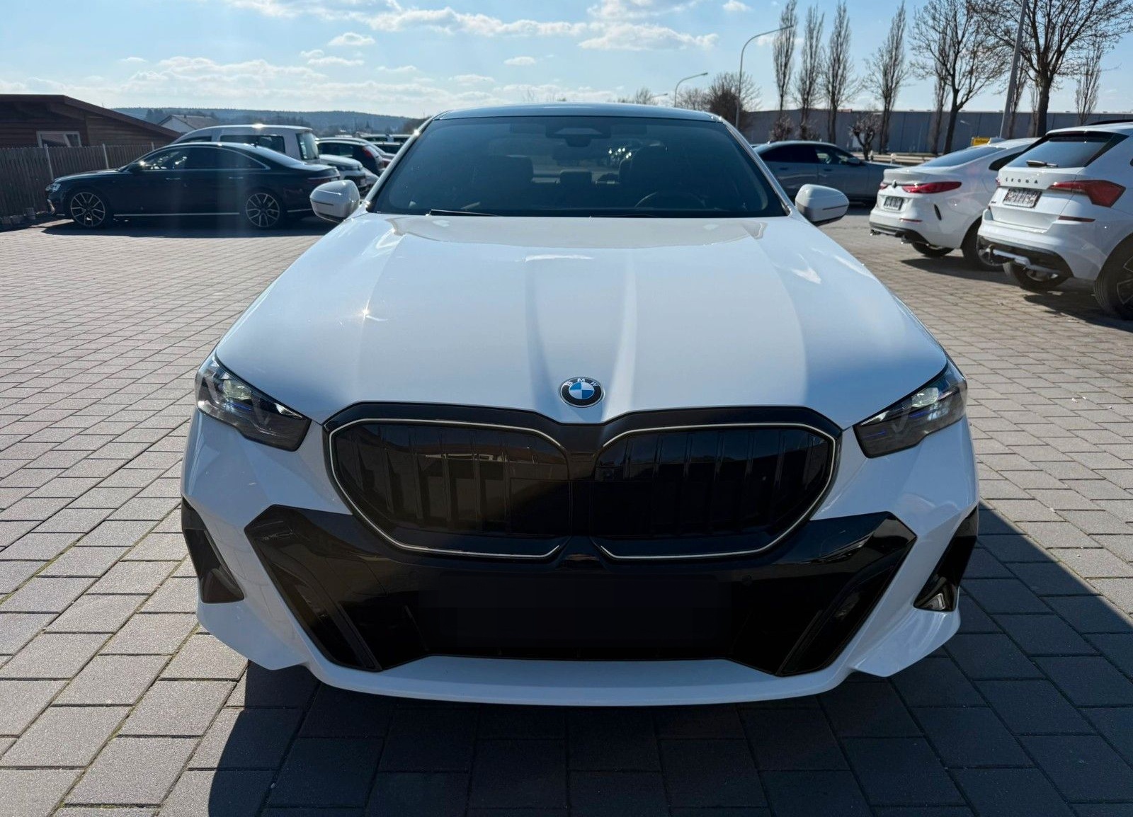 BMW 540d xDrive M PRO HUD AHK PANO STHZ AKTIVSITZ 20 foto 2