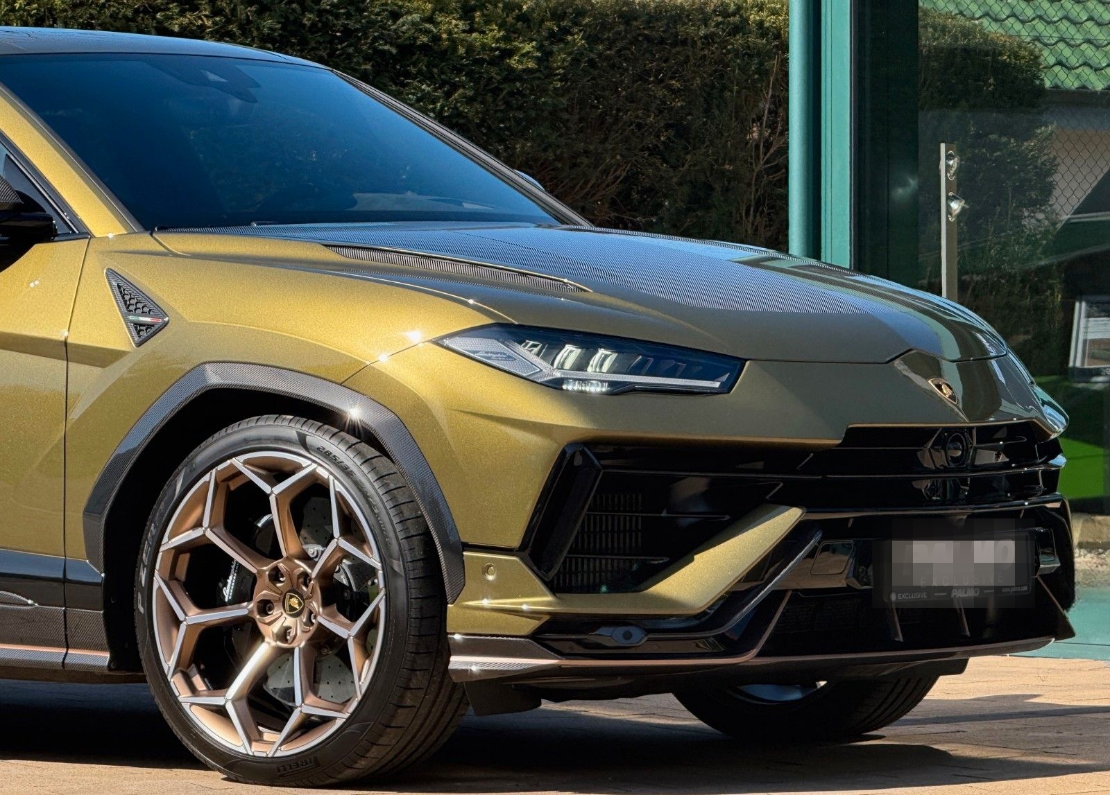 Lamborghini Performante / Full Carbon / PPF / Ad Personam foto 10