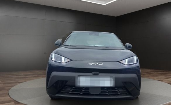 BYD Dolphin Surf Boost*Navi*PDC*DAB*APP*Alu foto 2