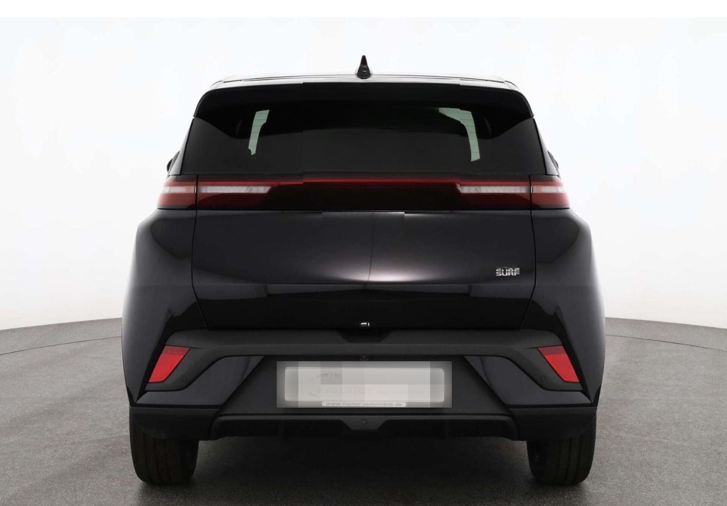 BYD Dolphin Surf Comfort LP: 32.449,- /Top-View/SHZ/ foto 6