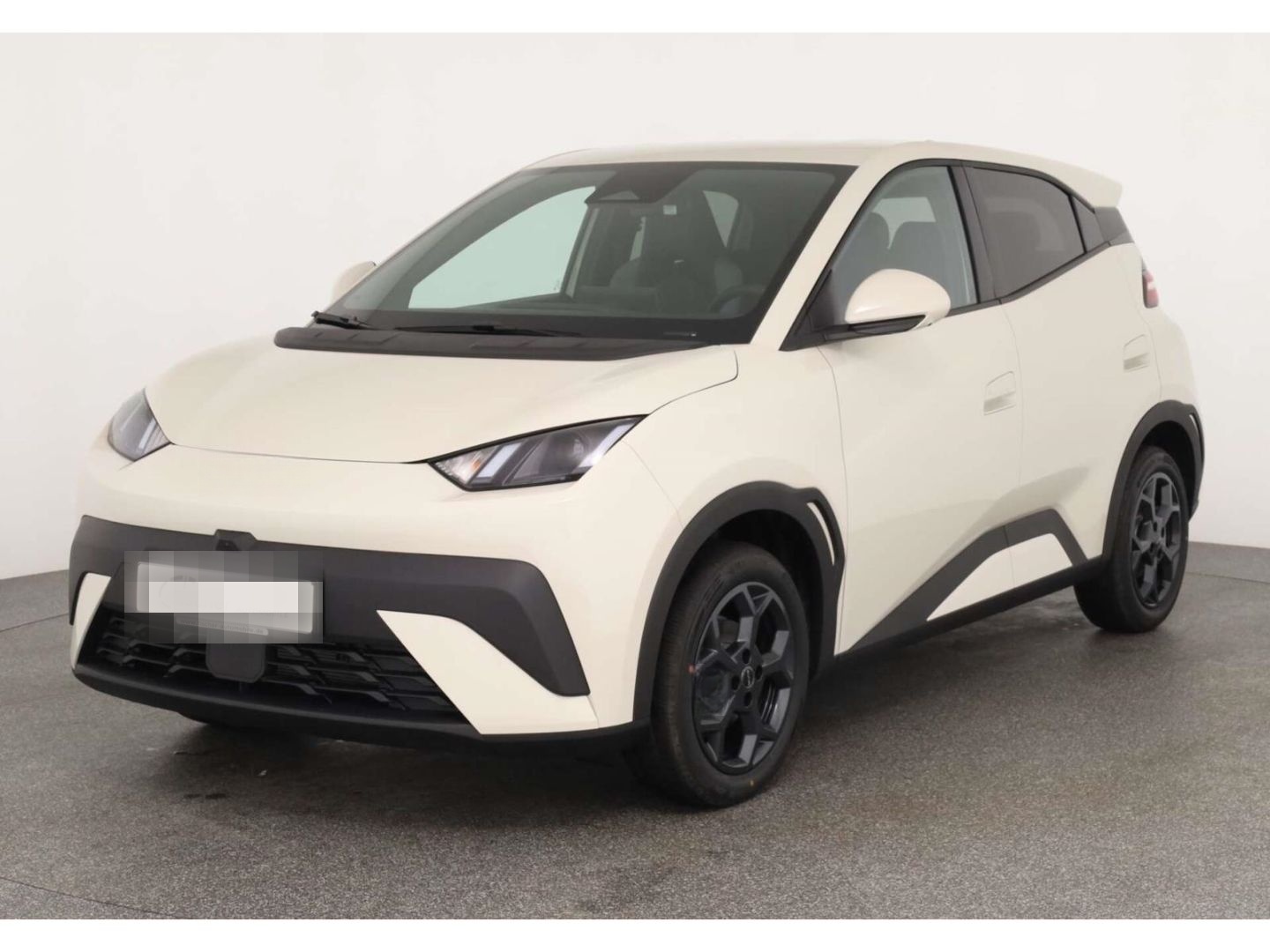 BYD Dolphin Surf Comfort LP: 32.449,- /Top-View/SHZ/ foto 2