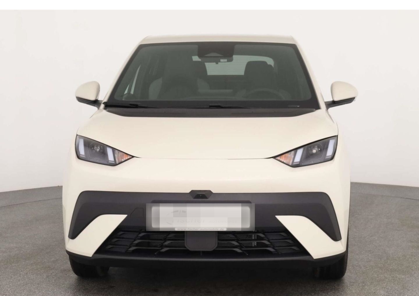 BYD Dolphin Surf Comfort LP: 32.449,- /Top-View/SHZ/ foto 3