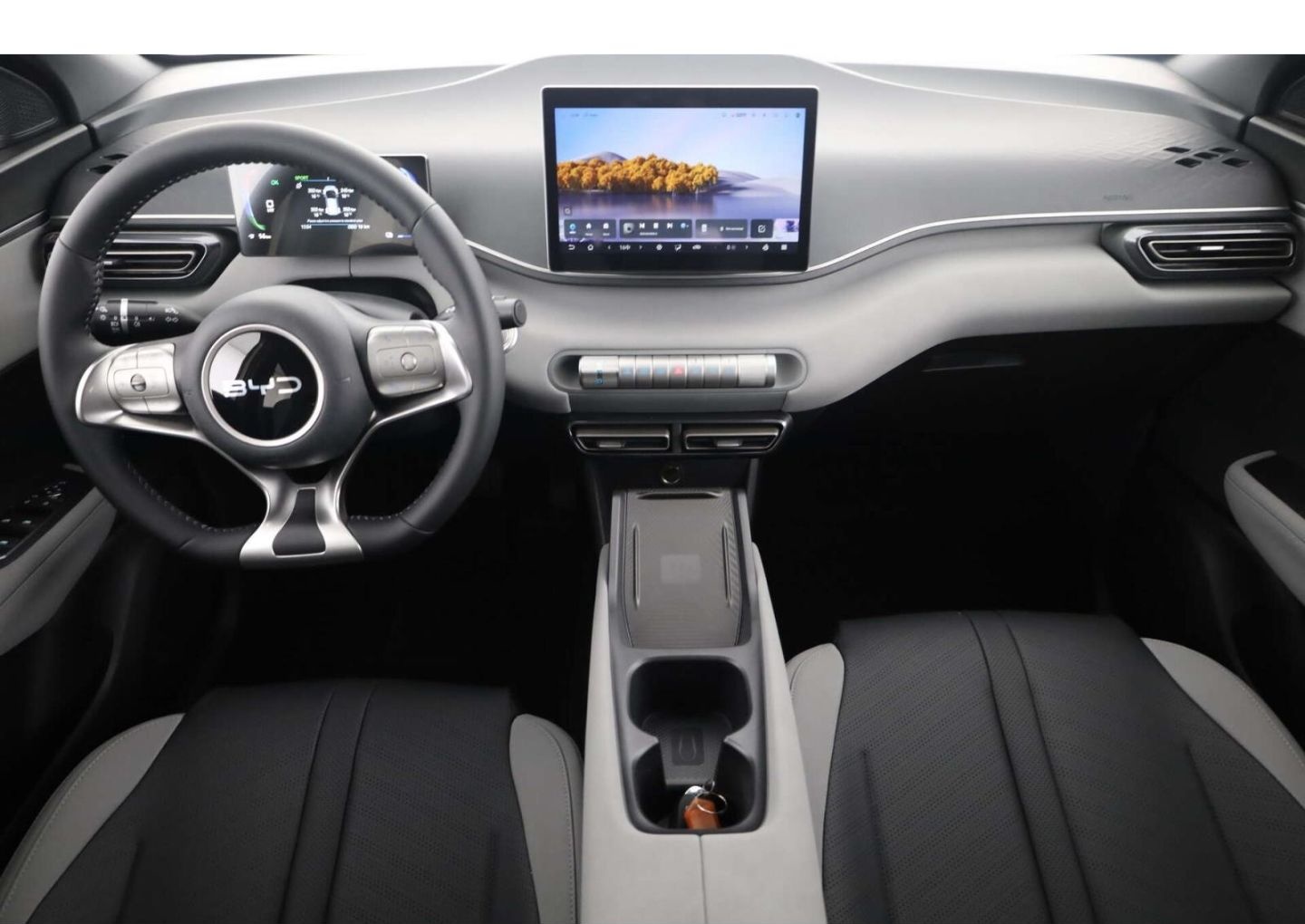 BYD Dolphin Surf Comfort LP: 32.449,- /Top-View/SHZ/ foto 9