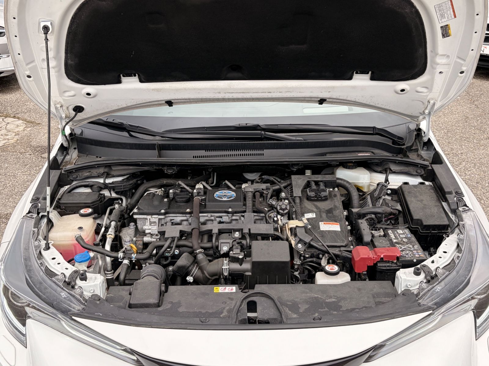 Toyota Corolla Hybrid Executive |LED |ACC |Head-Up |Kam foto 23