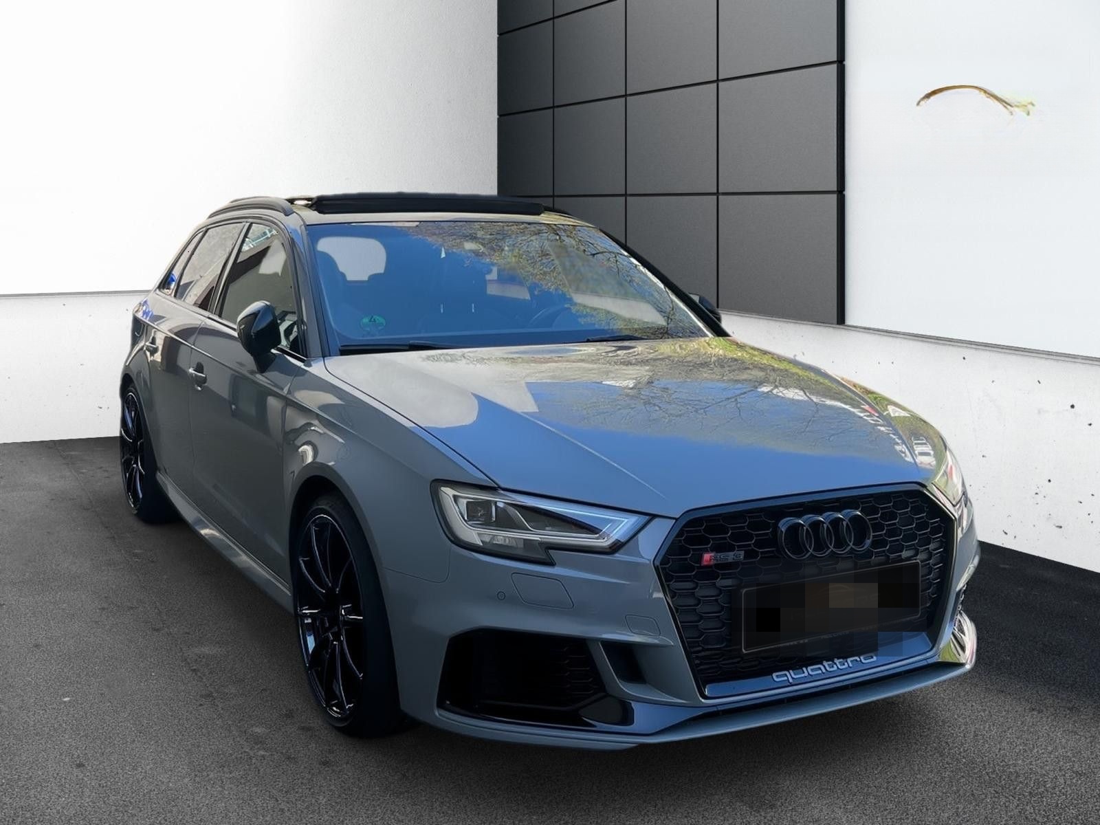 Audi RS3 2.5TFSI quattro*Pano*Virtual*Kamera*AbstTem foto 2