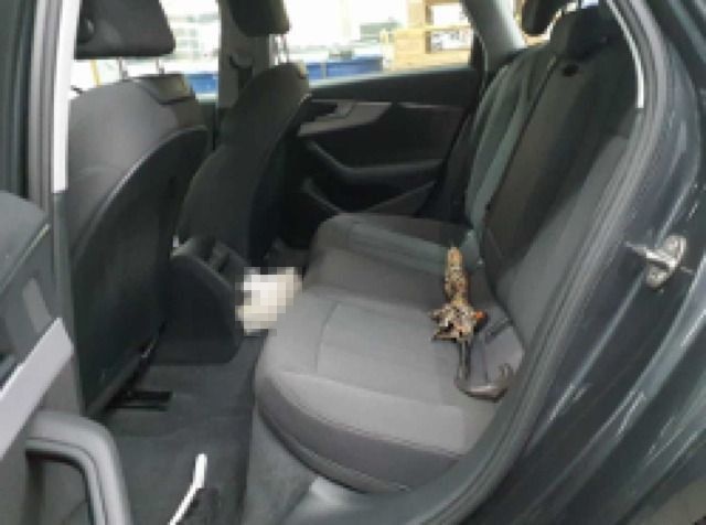 Audi A4 Avant 40 TFSI Sport S tro*HUD*Matrix*Virtual* foto 4