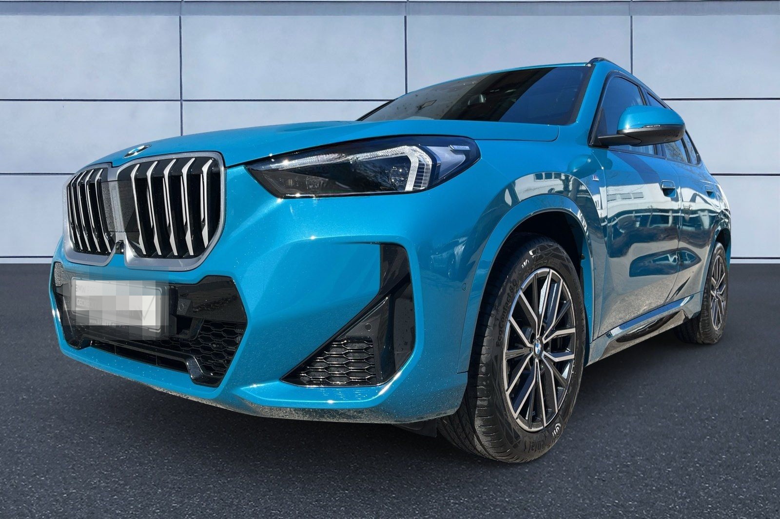 BMW X1 xDrive20d M Sportpaket Head-Up HK HiFi DAB foto 12
