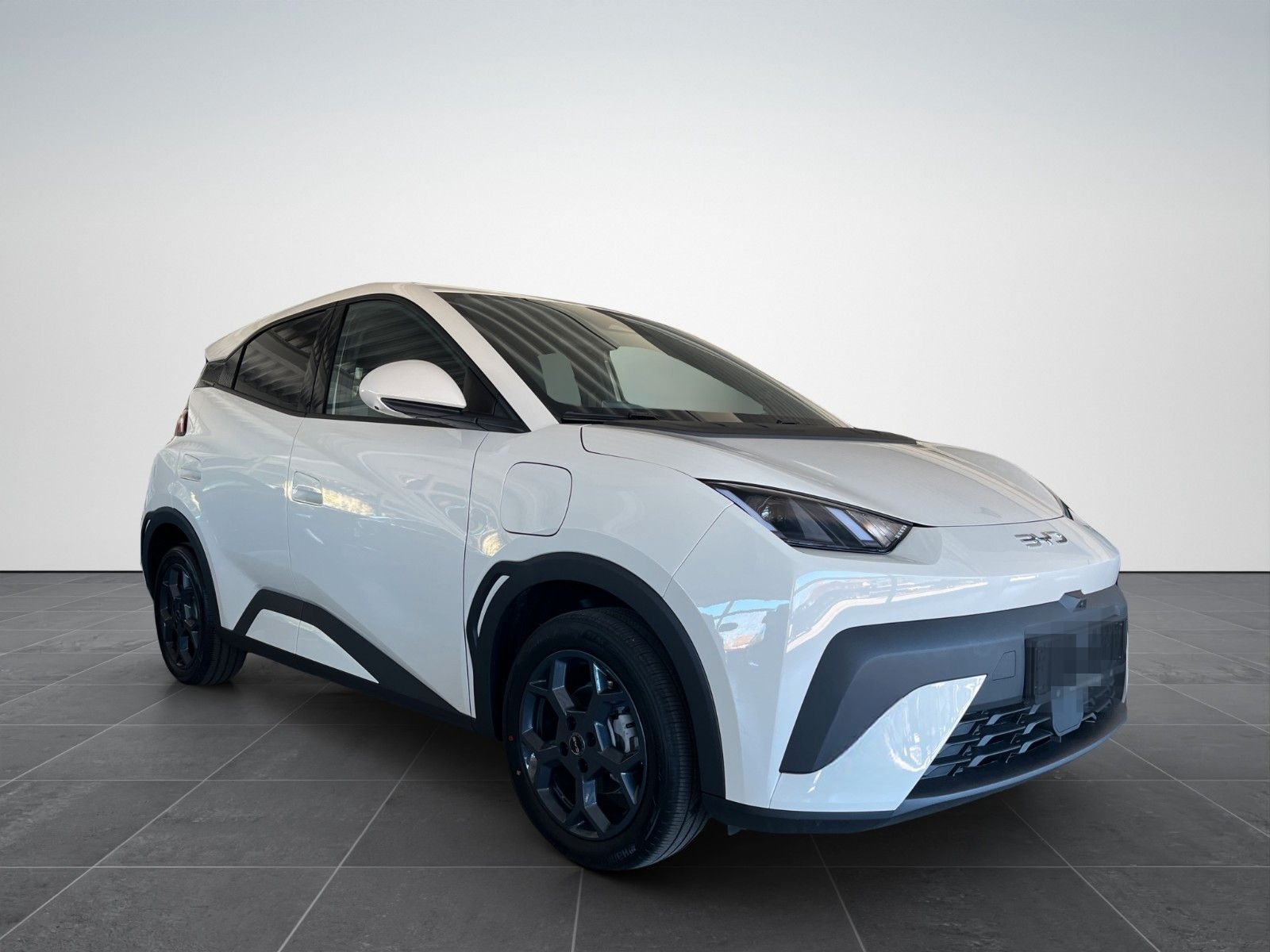 BYD DOLPHIN SURF Comfort/ACC/LEDER/360°/SHZ/NAV/ foto 2