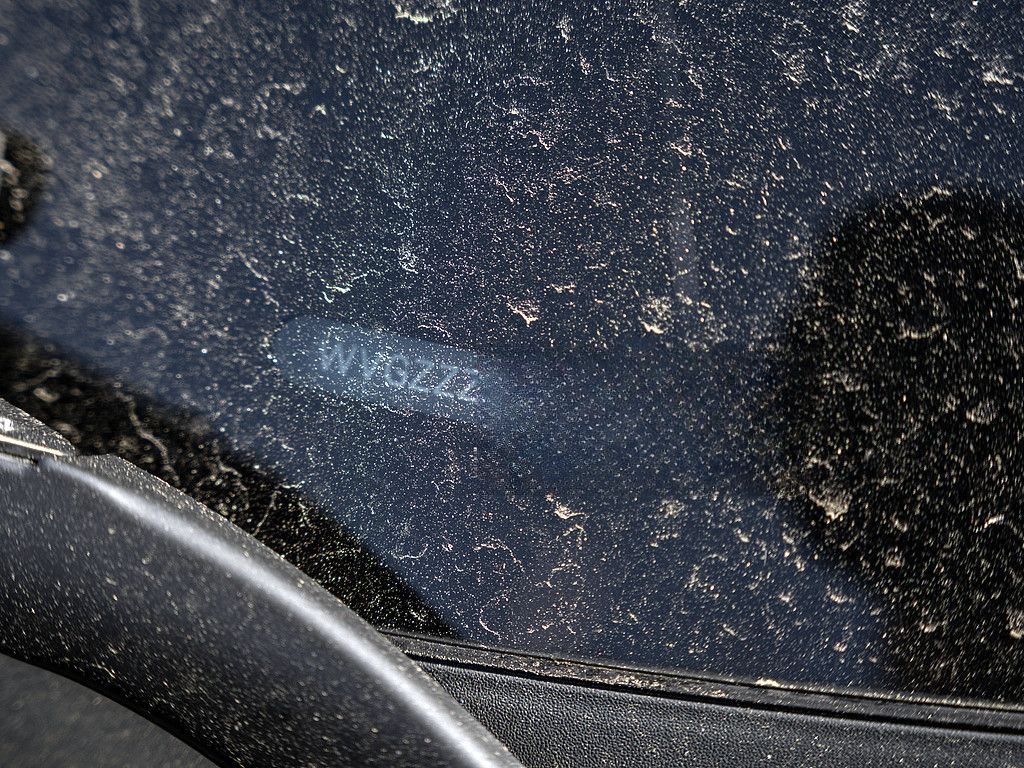 Volkswagen T-Roc 1.0 TSI AHK SHZ KLIMA foto 15