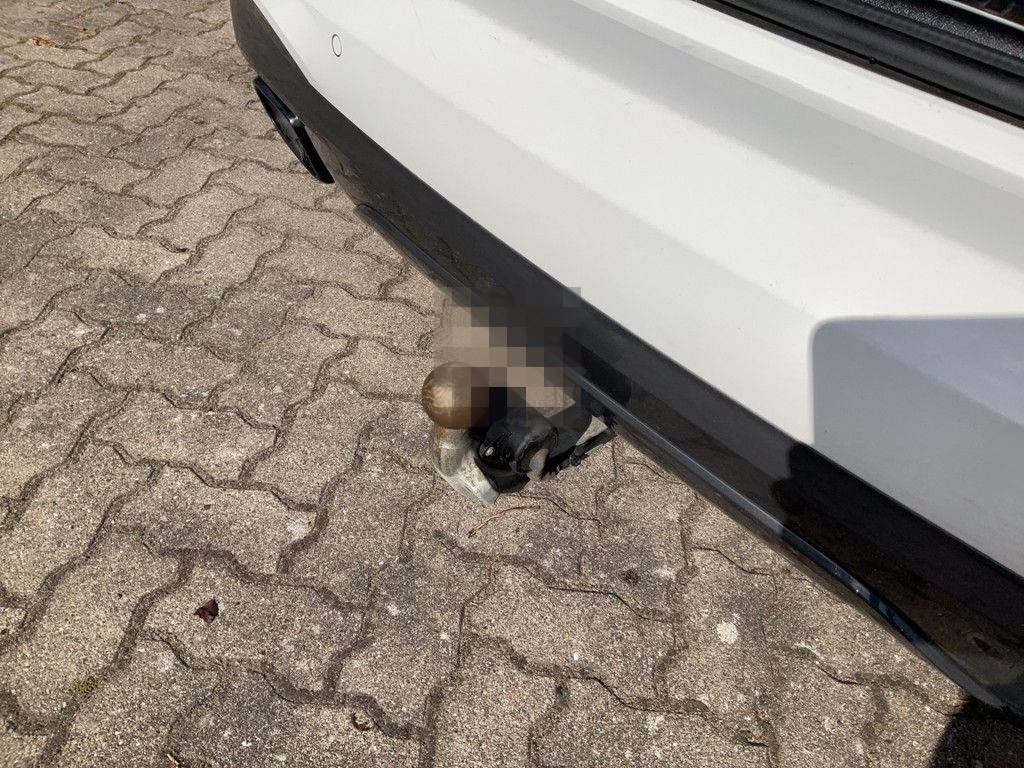 BMW X3 M40d LASER NAV HUD PAN KAMERA 20" AHK PDC SHZ foto 21