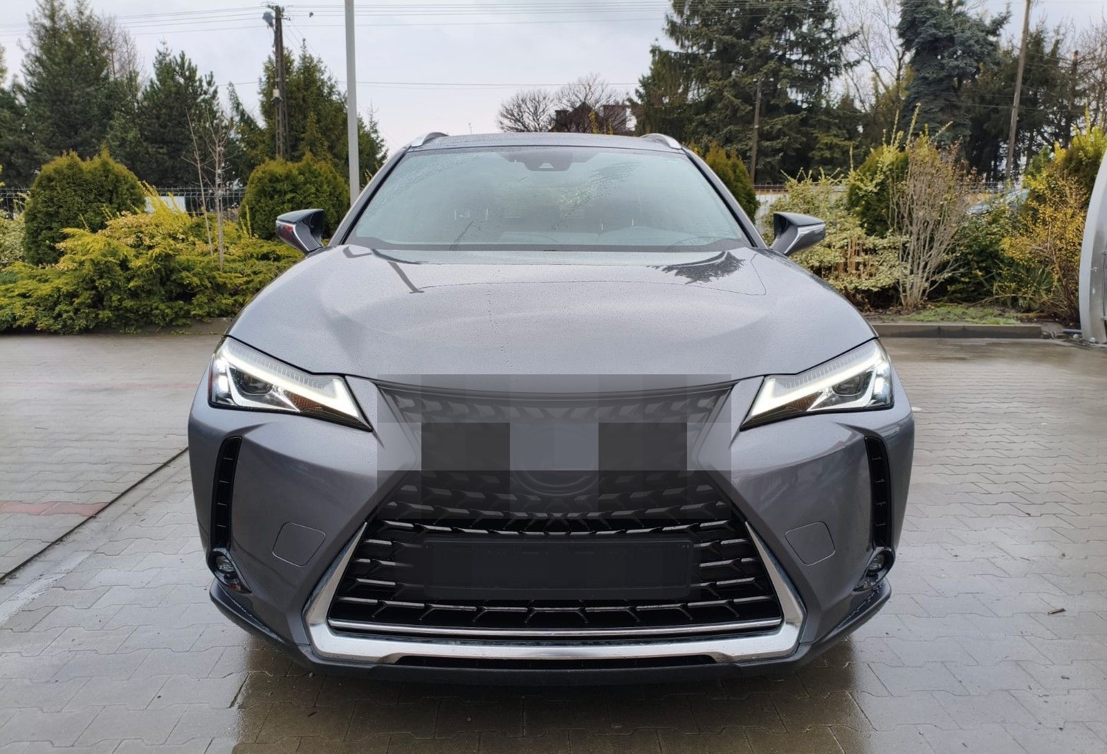 Lexus UX 250 h