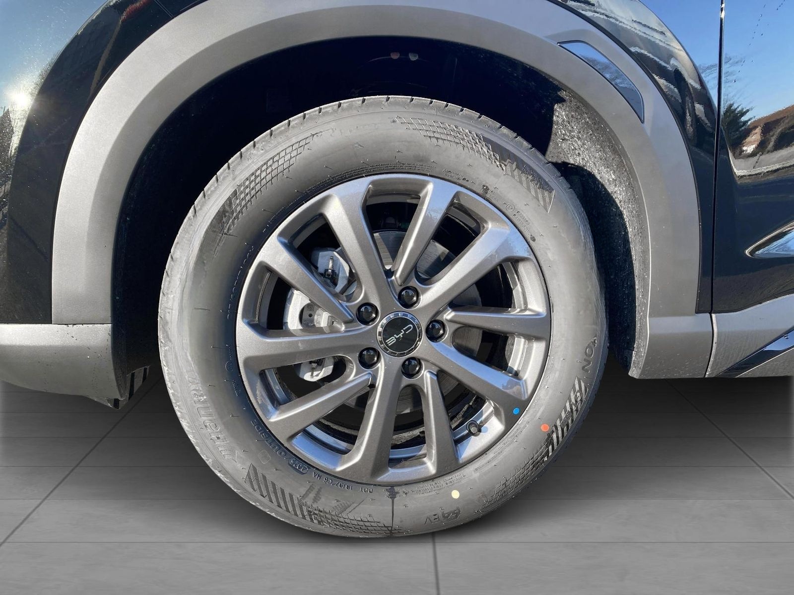 BYD ATTO 2 DM-I Boost Kamera Navi foto 2