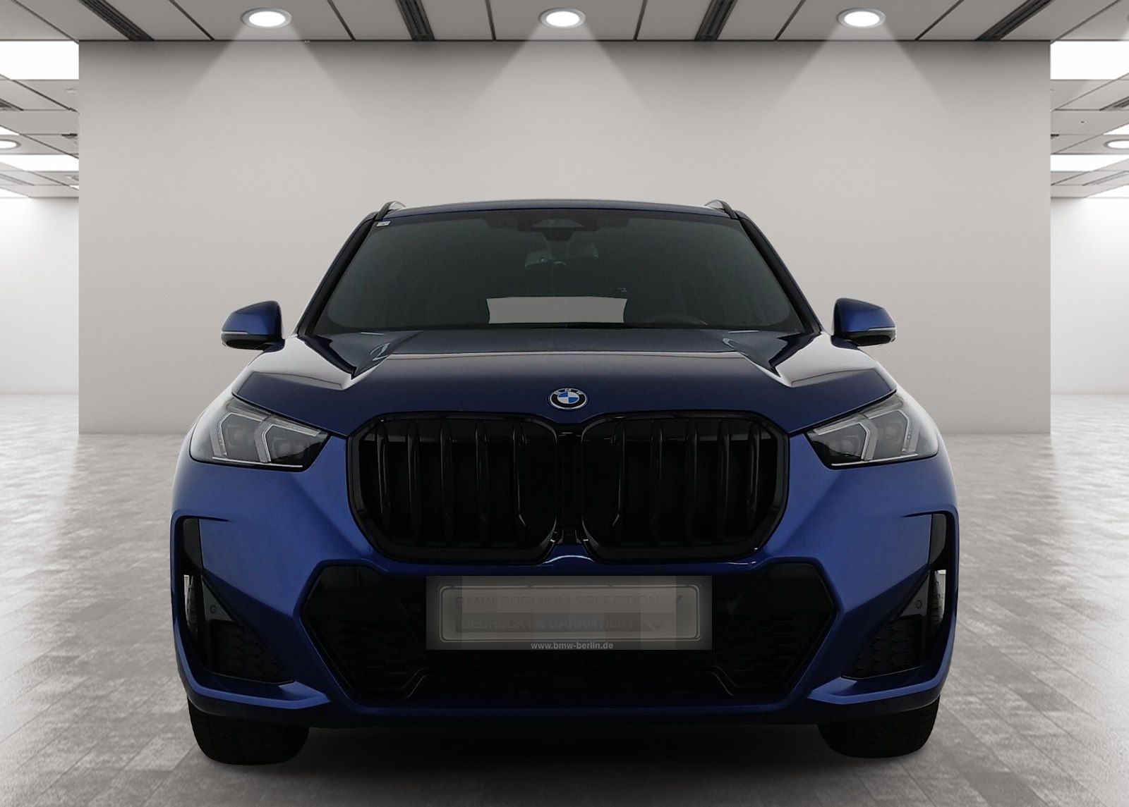 BMW X1 xDrive25e M Sport AHK Driv.Assist+ Harman/K foto 4
