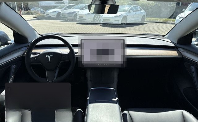 Tesla Model 3 Rear-Wheel Drive foto 14