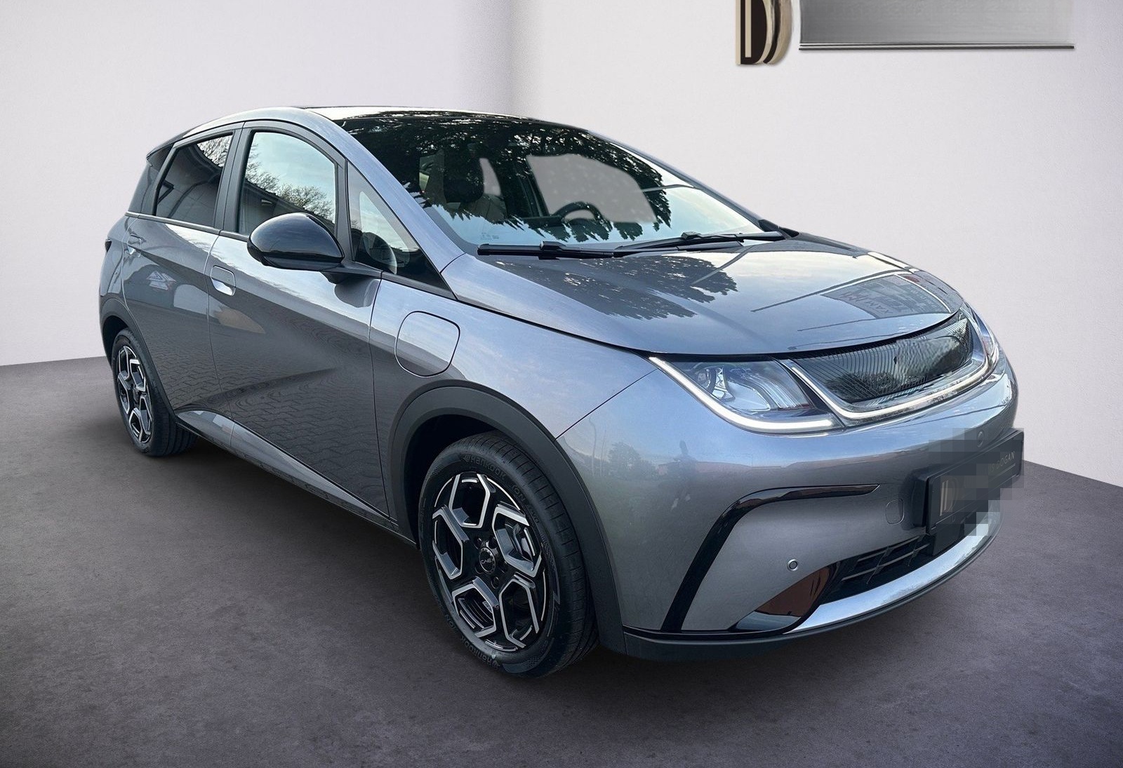 BYD Dolphin Design*Pano*Shzg*360Cam*Privacy* foto 3