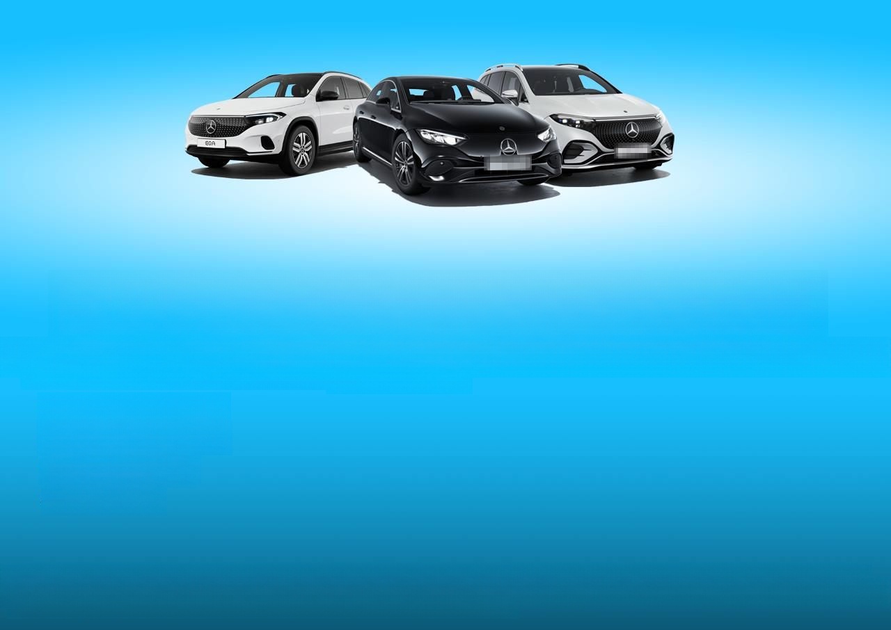 Mercedes-Benz EQS 350 Electric Art Airmatic AHK Panorama EasyP foto 10
