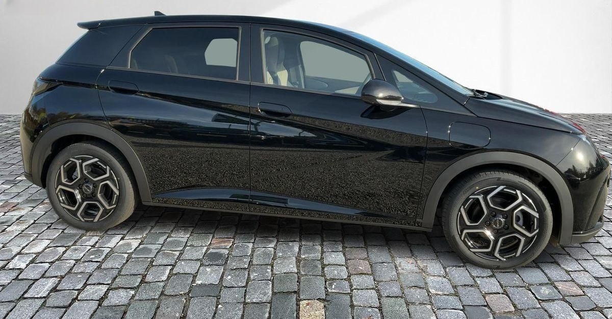 BYD Dolphin Design Wärmepumpe Alu KA LED Link NBA PD foto 4