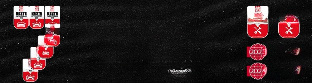 BYD Sealion 7 91,3 kWh "Excellence" AWD 530PS foto 6