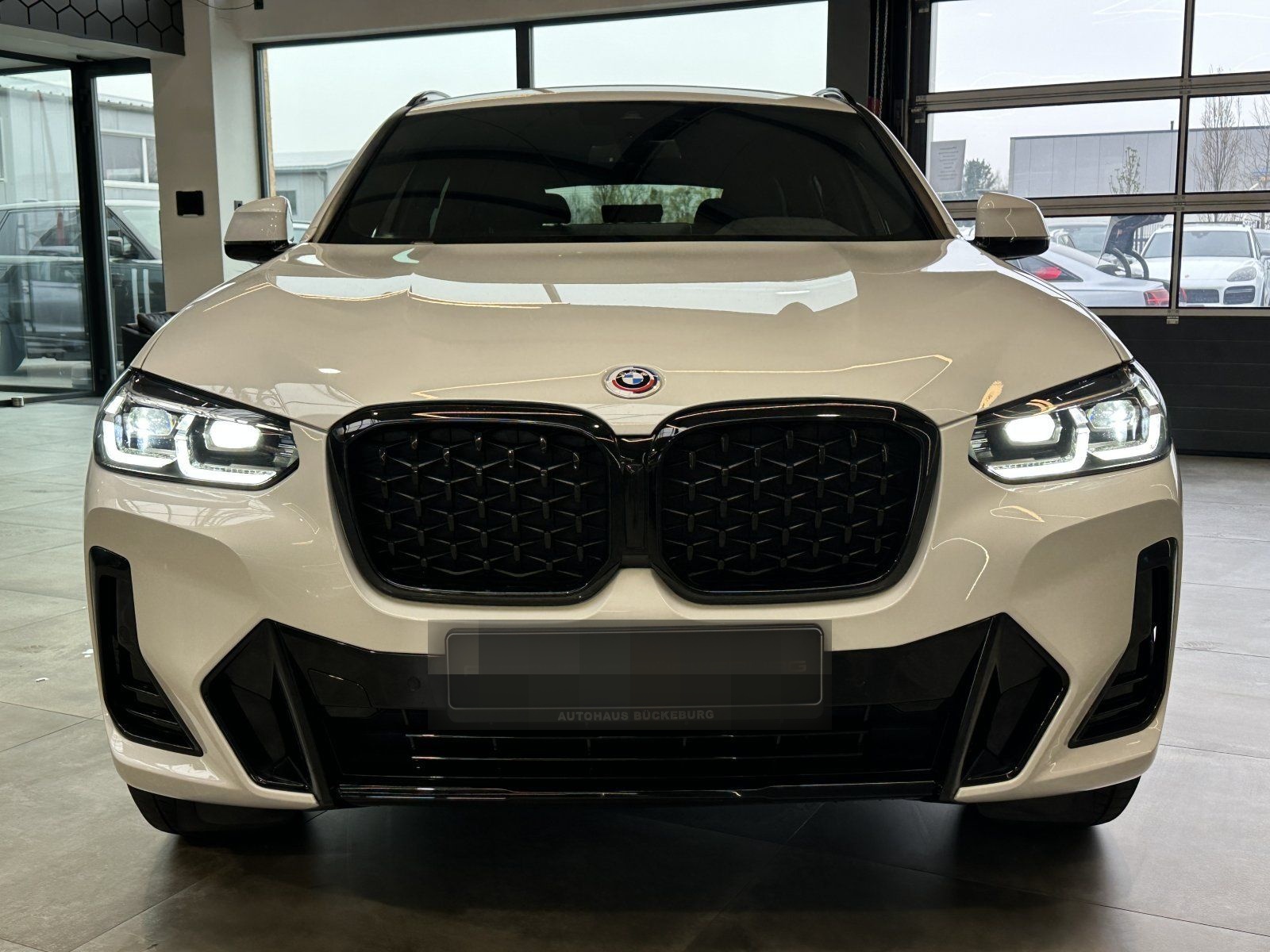 BMW X4  xDrive20i  M- Sport foto 2