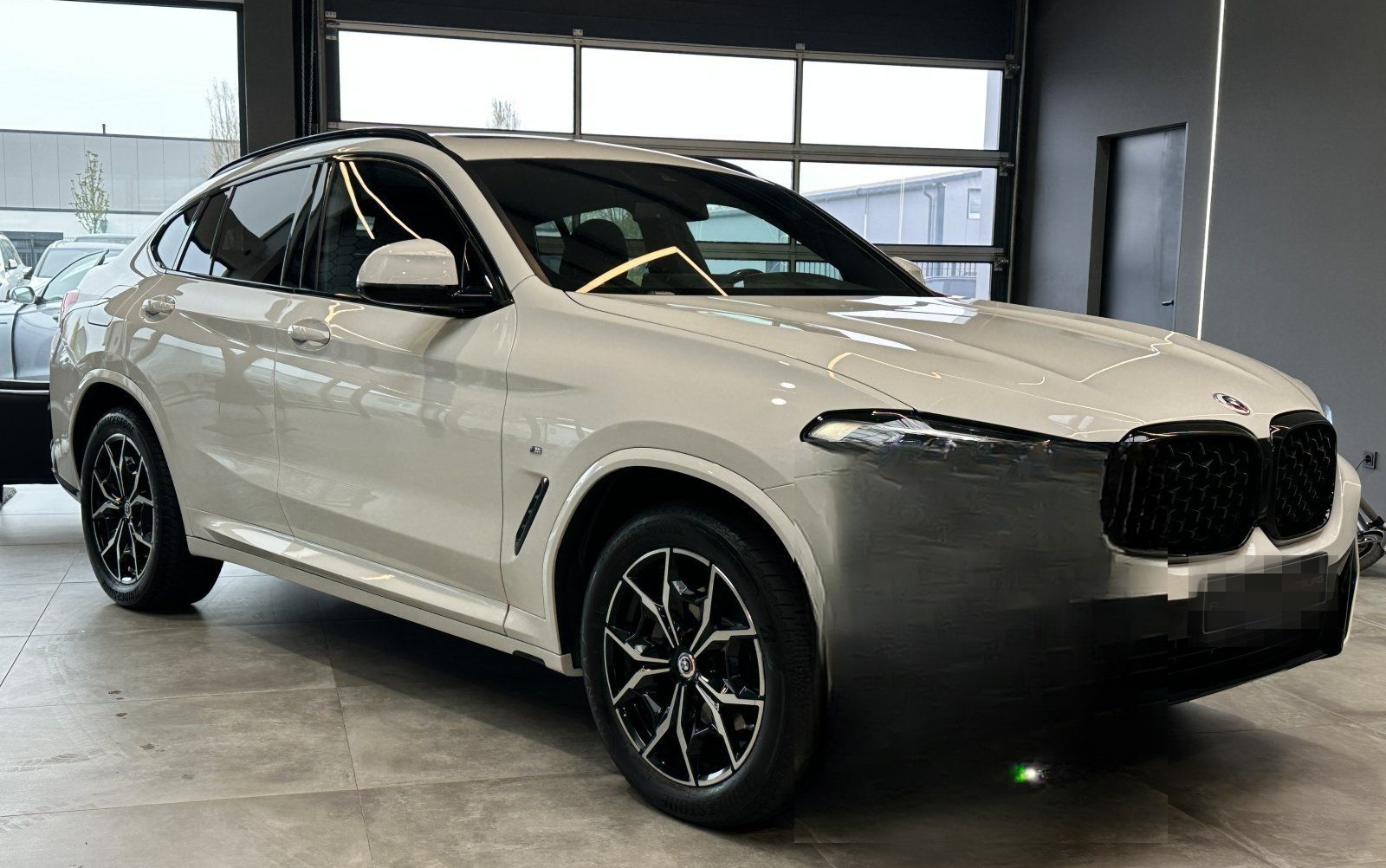 BMW X4  xDrive20i  M- Sport foto 3