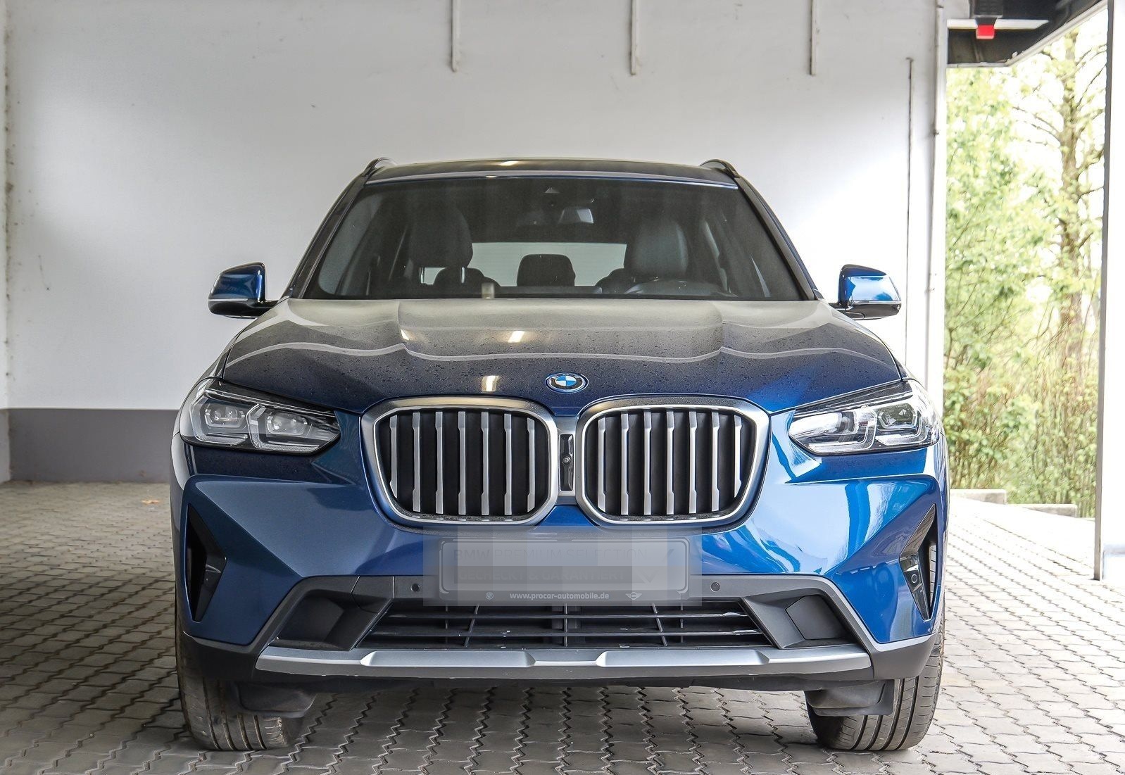 BMW X3 xDrive30e HuD HiFi DA PA+ Amb. Licht foto 8