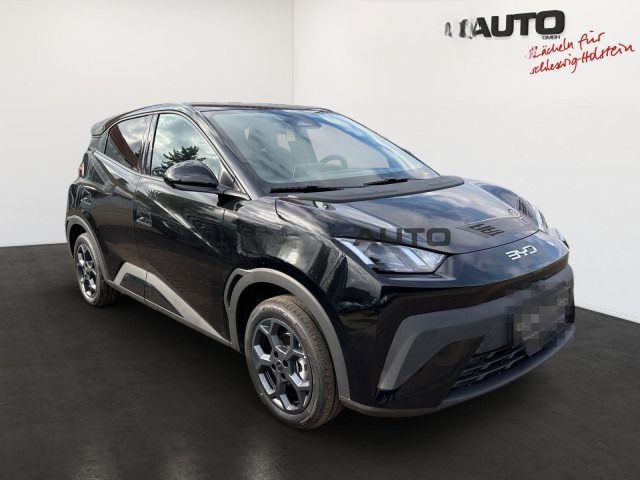 BYD Dolphin Surf Comfort 43kWh 360°KAMERA LED SITZHZ foto 2