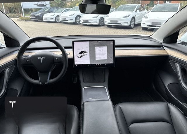 Tesla Model 3 Performance foto 14