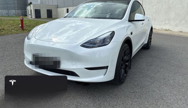 Tesla Model Y Long Range AWD foto 2
