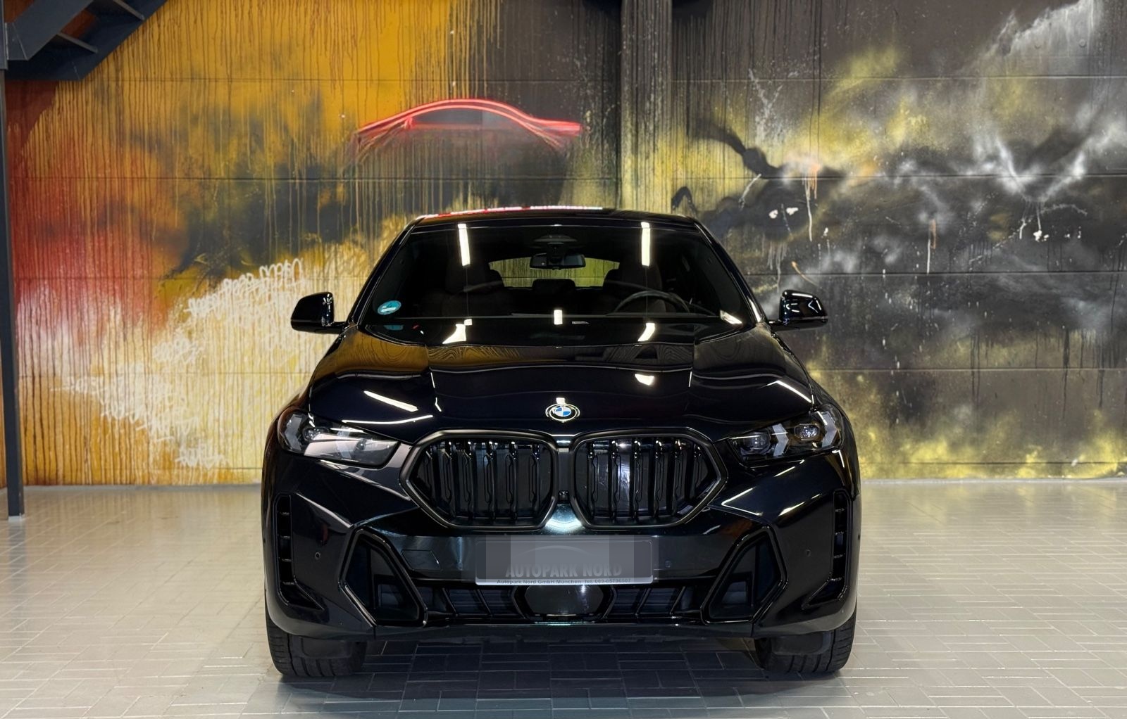 BMW X6 40i xDrive M Sport Pro HEADUP~LED~KAMERA~H&K foto 2