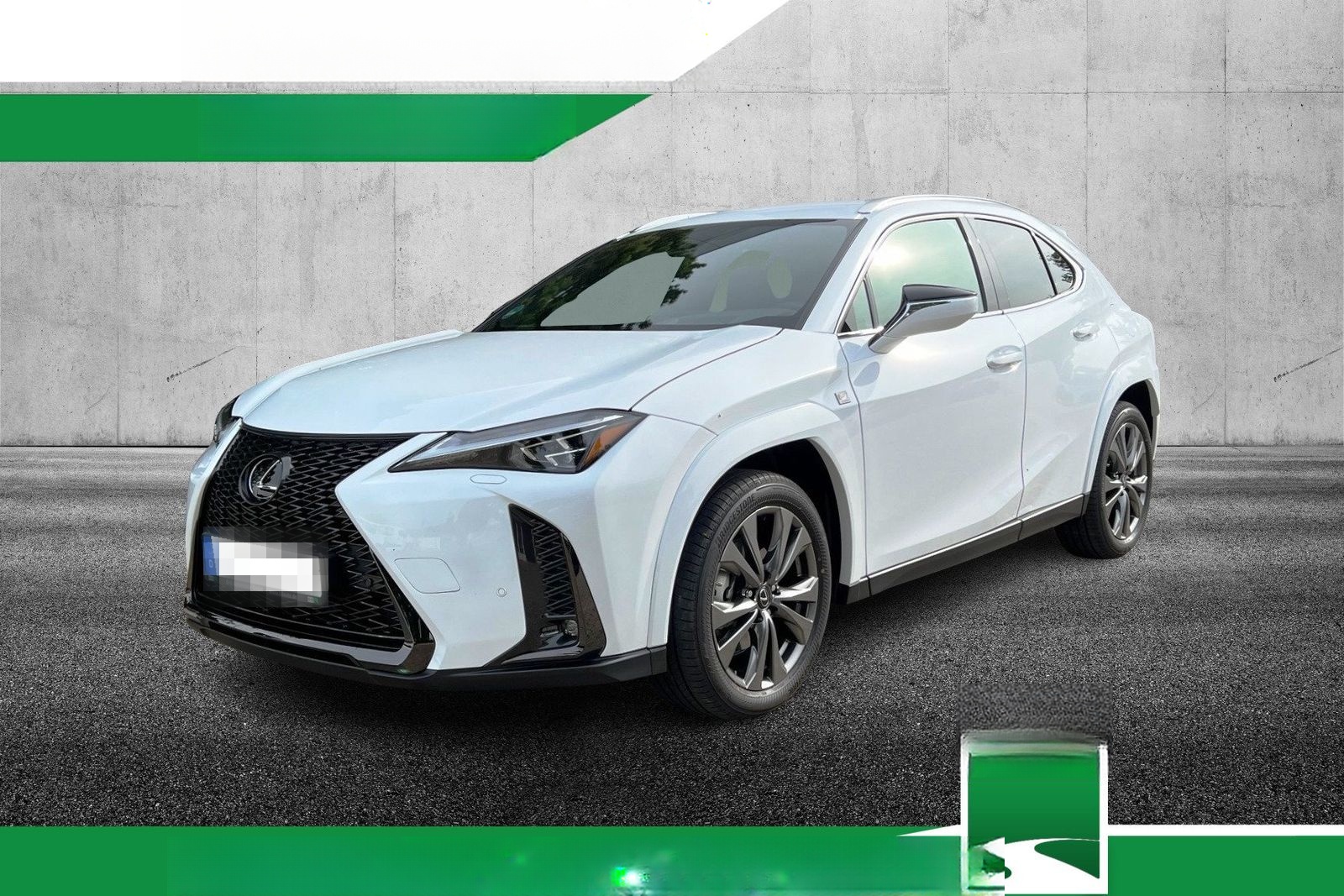 Lexus UX 250H F Sport Leder Kamera SHZ