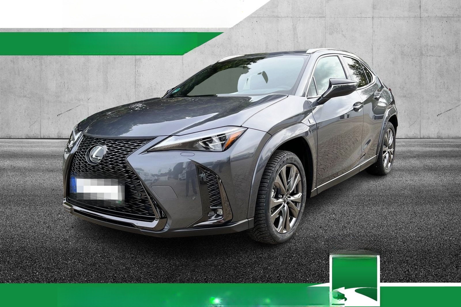 Lexus UX 250H F Sport Leder Kamera SHZ