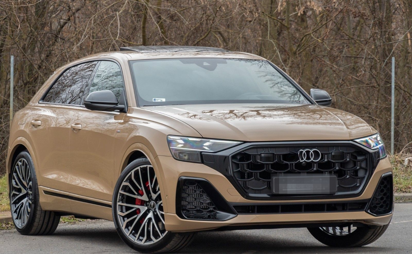 Audi Q8 60 TFSIe SLINE.MATRIX.LUFTFE.SOFTC.PANO.AHK foto 3