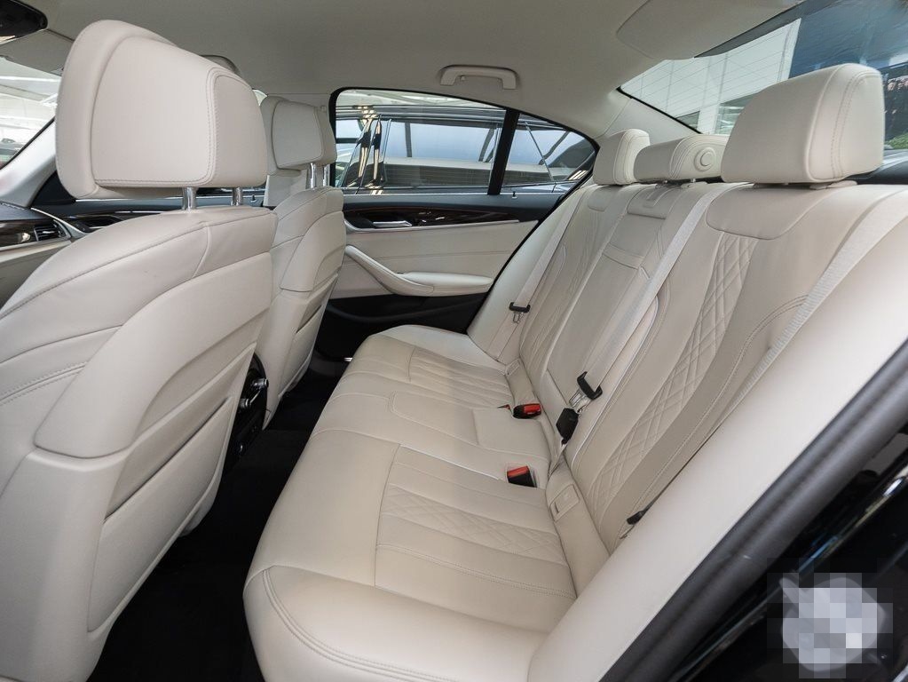 BMW 530xd rive HUD RFK NAVI Standh. LED Laser DAB foto 13