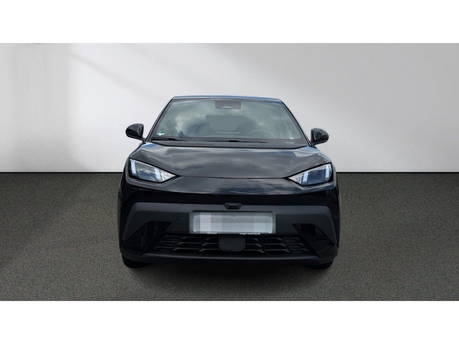 BYD Dolphin Surf Comfort Leder ACC LED Carplay 360°K foto 4