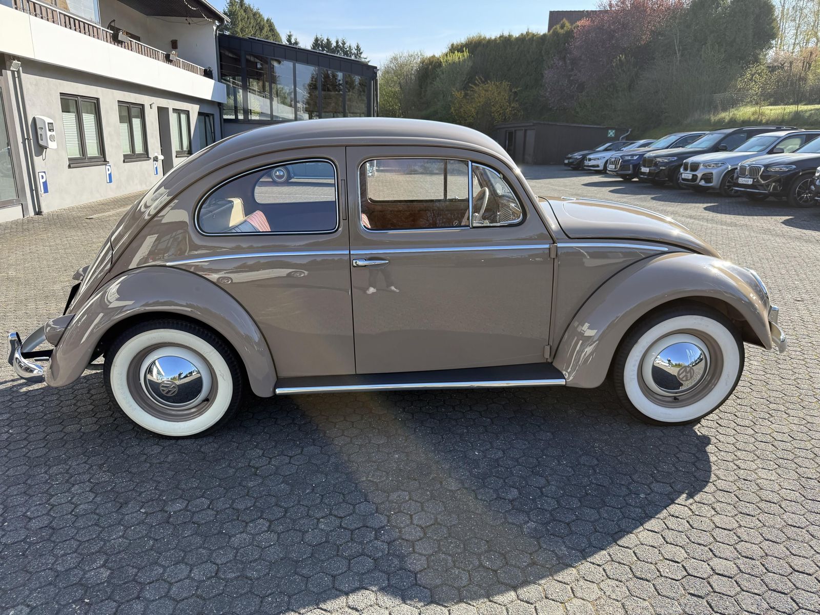 Volkswagen Käfer Ovali Export foto 4