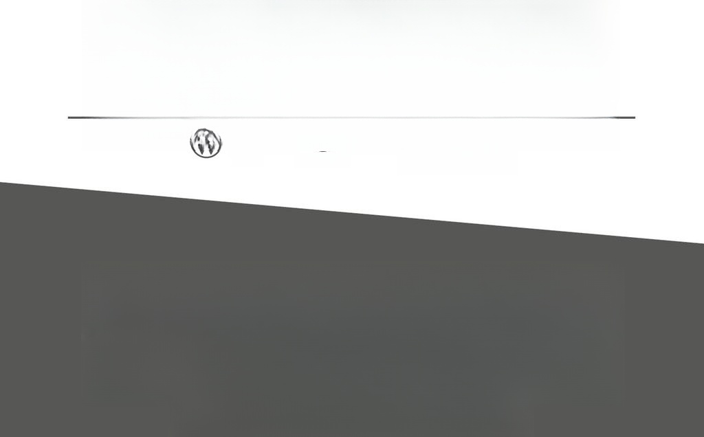 Volkswagen Tiguan TDI 2.0 4Mo/DSG *R-Line*Matrix*AHK*Pano*