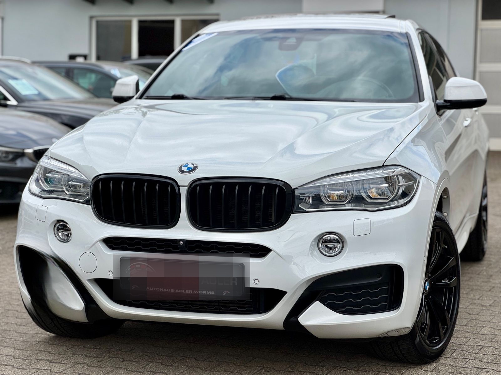 BMW X6 xDrive40d M-Sport*HUD*SOFT*LED*SD*AHK*STH*360 foto 3