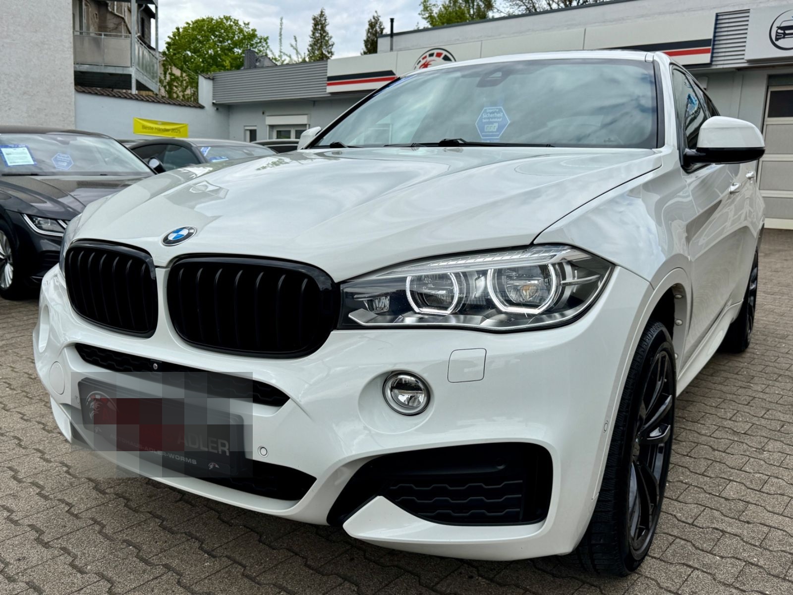 BMW X6 xDrive40d M-Sport*HUD*SOFT*LED*SD*AHK*STH*360 foto 9