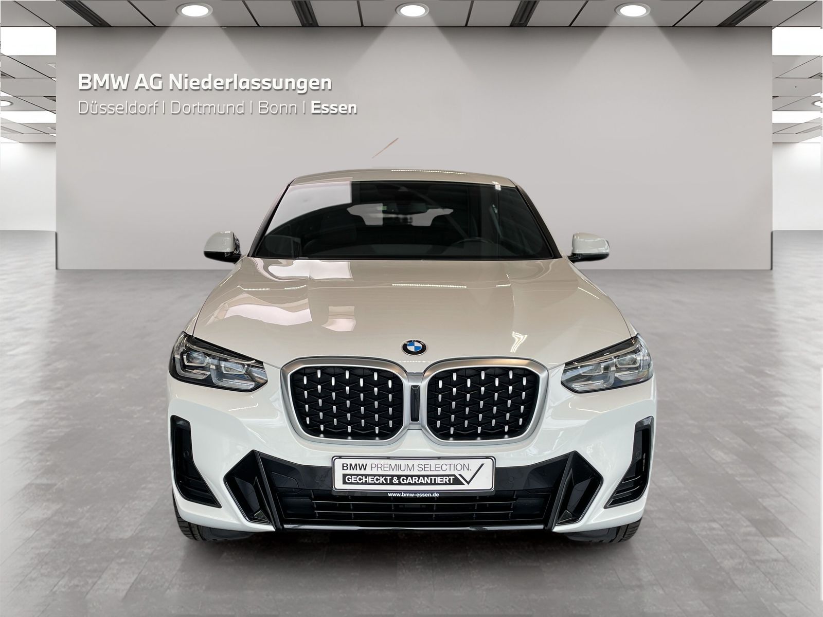 BMW X4 xDrive30d M Sport Standheizung Kamera HiFi foto 5