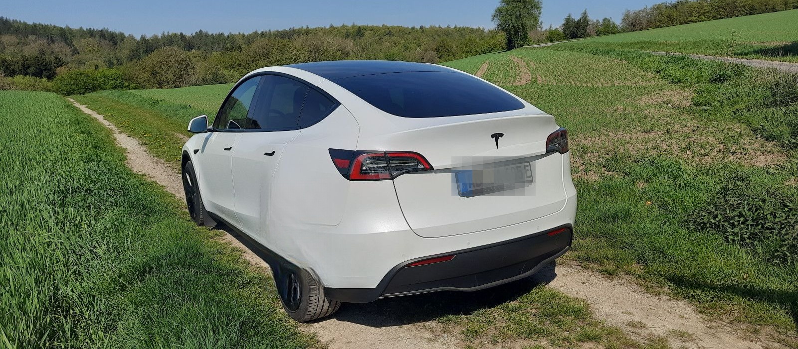 Tesla Model Y Dual Motor AWD Long Range Restgarantie foto 3