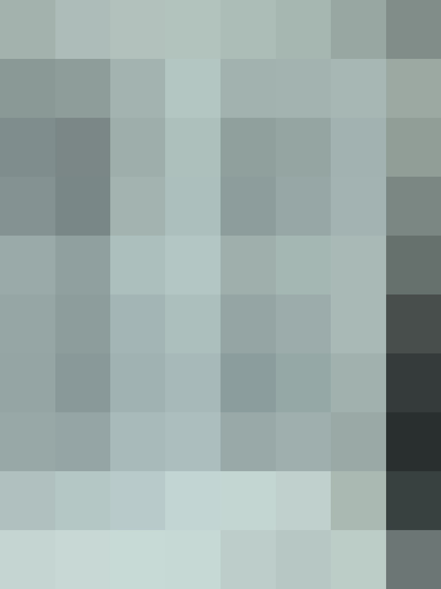 Toyota RAV 4 RAV4 Hybrid 4x2 Basis foto 13