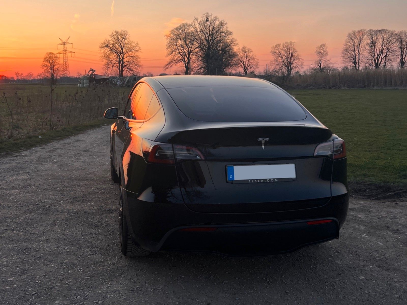 Tesla Model Y RWD, 05/23, 49.700 km, unfallfrei foto 5
