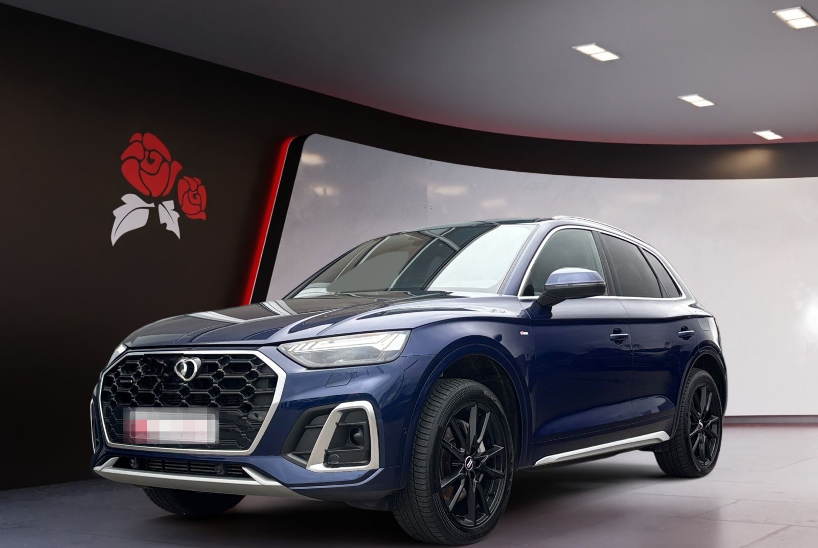 Audi Q5 55 2.0 TFSI e quattro S-line ACC HUD Navi Mat foto 2