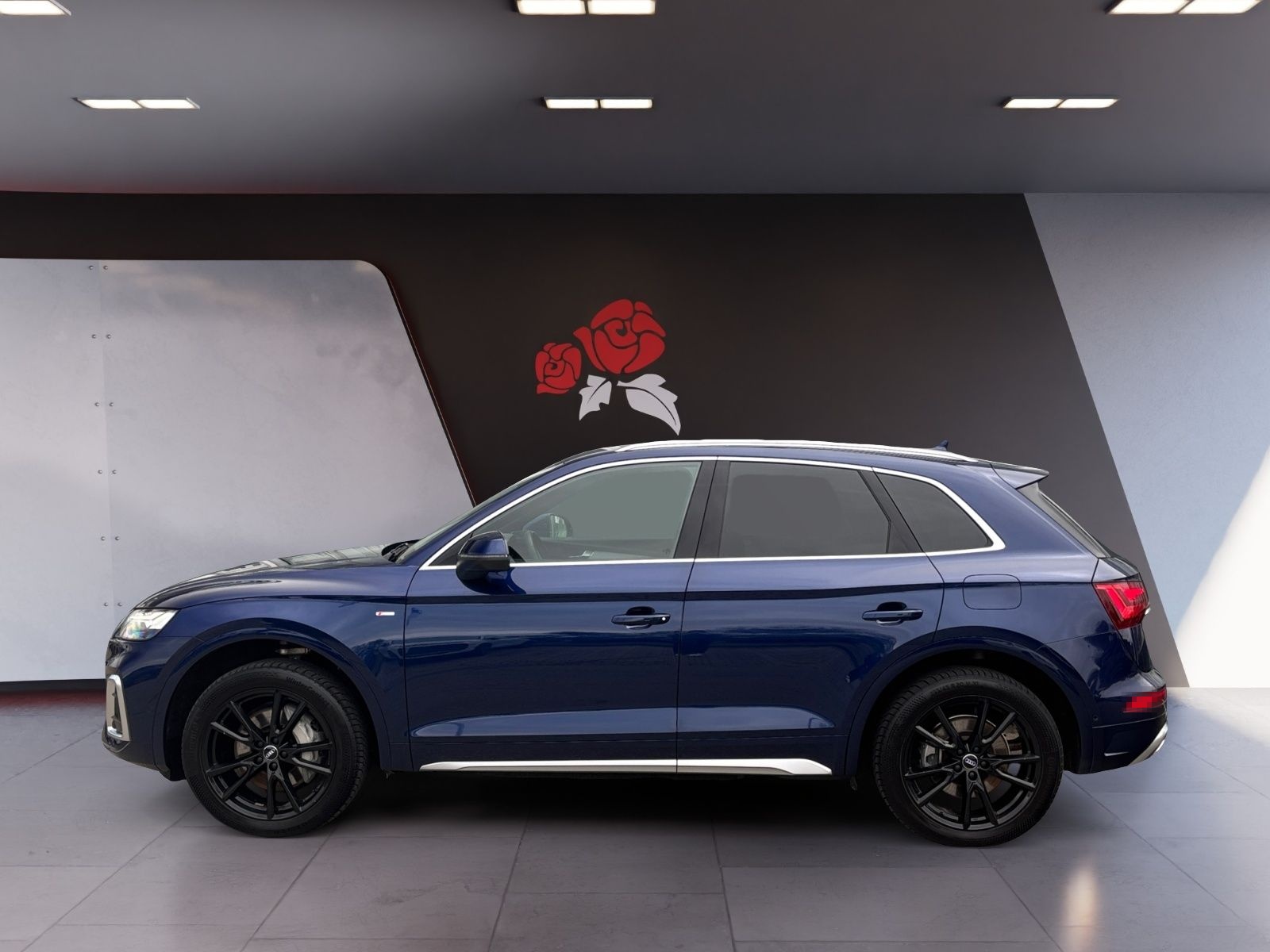 Audi Q5 55 2.0 TFSI e quattro S-line ACC HUD Navi Mat foto 3