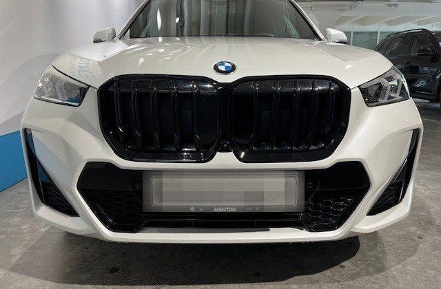 BMW X1 xDrive23d M Sportpaket Head-Up HK HiFi DAB foto 6