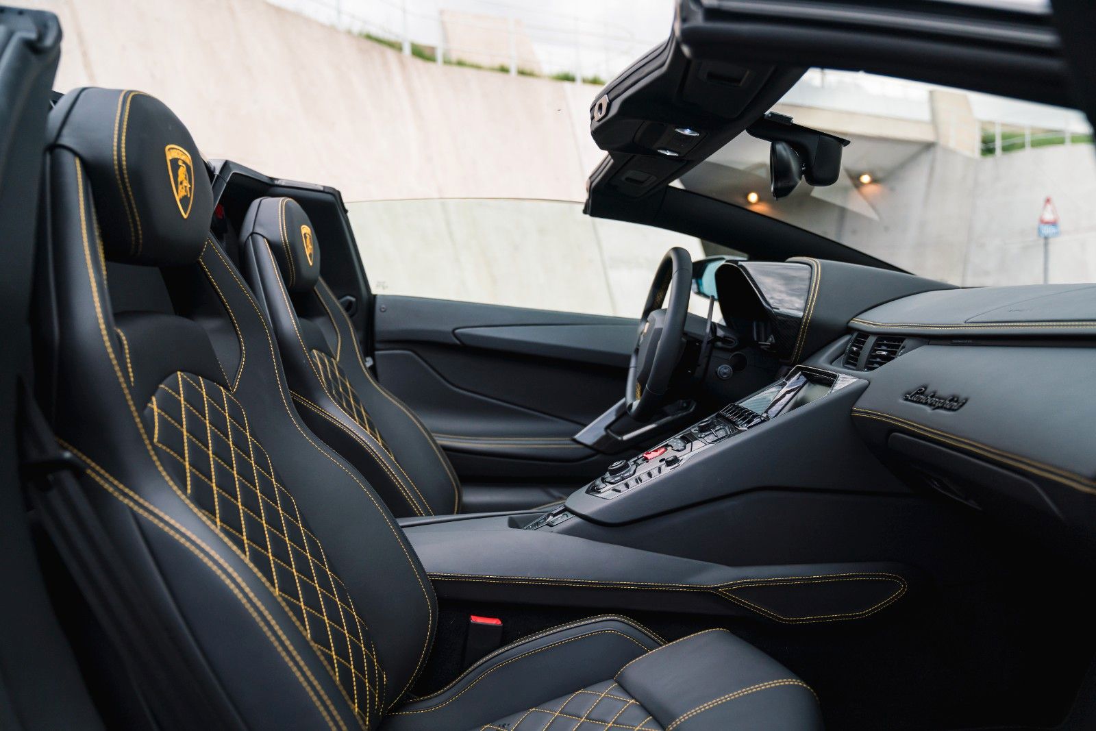 Lamborghini Aventador S Roadster Unica Carbon + PPF foto 11