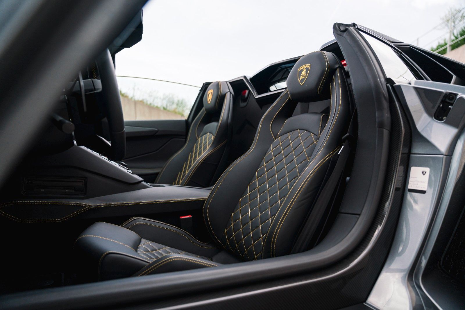 Lamborghini Aventador S Roadster Unica Carbon + PPF foto 13