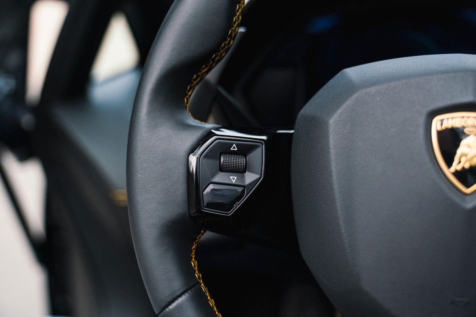 Lamborghini Aventador S Roadster Unica Carbon + PPF foto 15